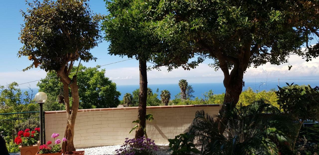 B&B La Casa Di Martina Zambrone Εξωτερικό φωτογραφία
